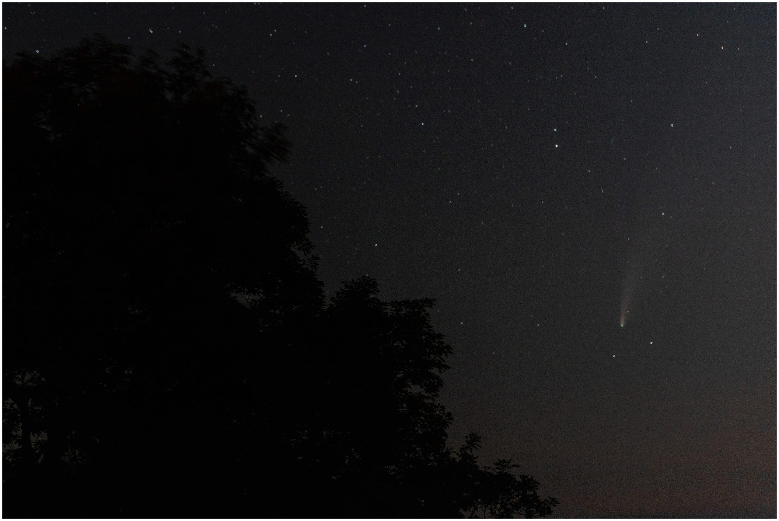 2020-07-19_0002.jpg 2020-07-19_0002.jpg